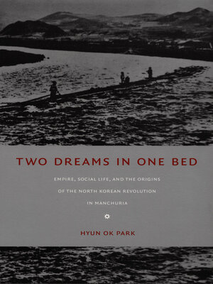 cover image of Two Dreams in One Bed